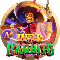 Wild Đạo Tặc